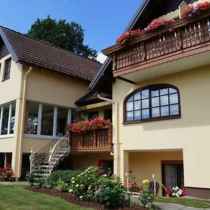 Kordula Straub Waldfenster